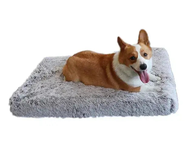 Luxury Orthopedic Memory Foam Dog Cat Bed with a Corgi relaxing on a plush gray cushion.
