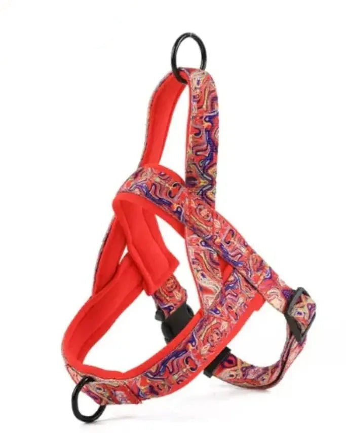 Nylon Dog  Harness with Leash.