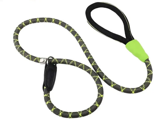 Our Durable Dog Leash P Chain Slip Collar.