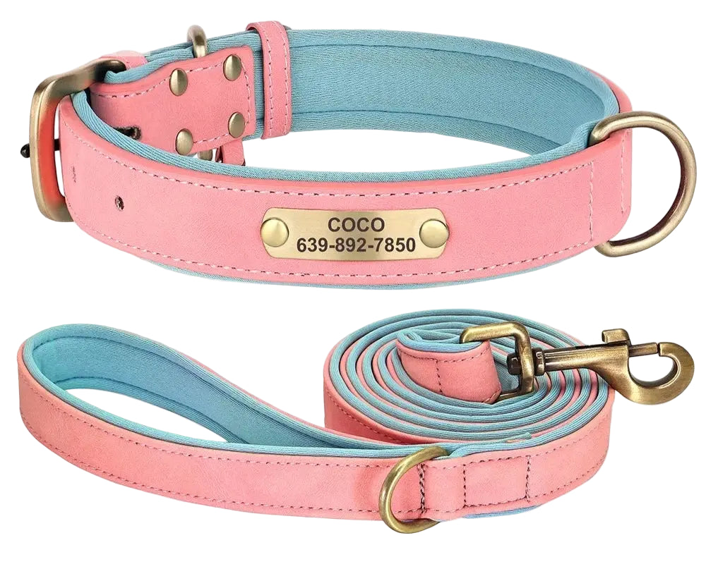 Personalised Dog Collar Lead Set Crafted with Beautiful Soft subtle PU leather & ID tag.