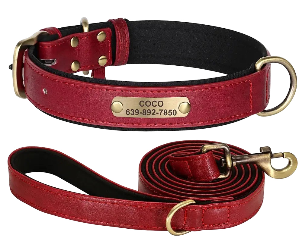 Personalised Dog Collar Lead Set Crafted with Beautiful Soft subtle PU leather & ID tag.