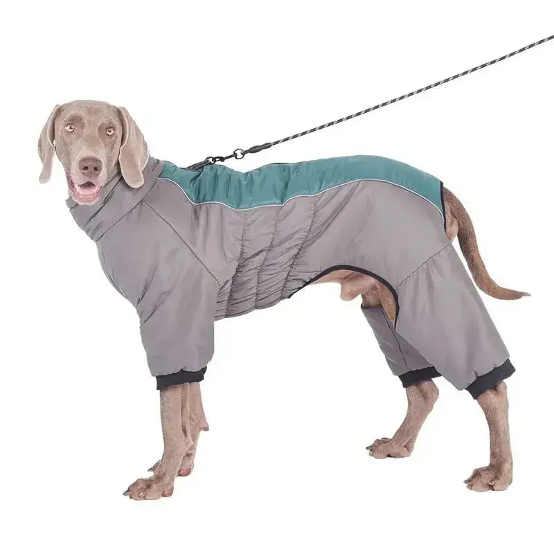 Reflective Waterproof Dog Padded Coat