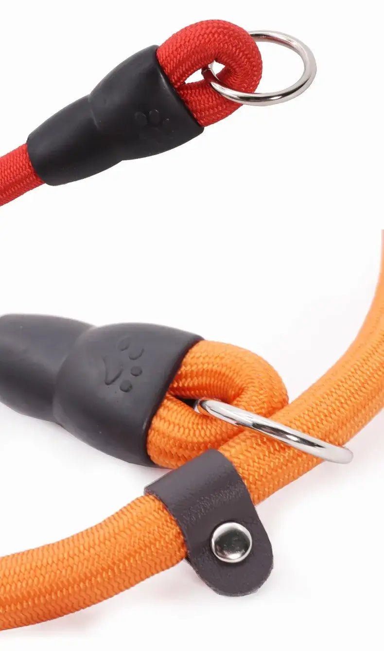 Dog Slip Collar Leash