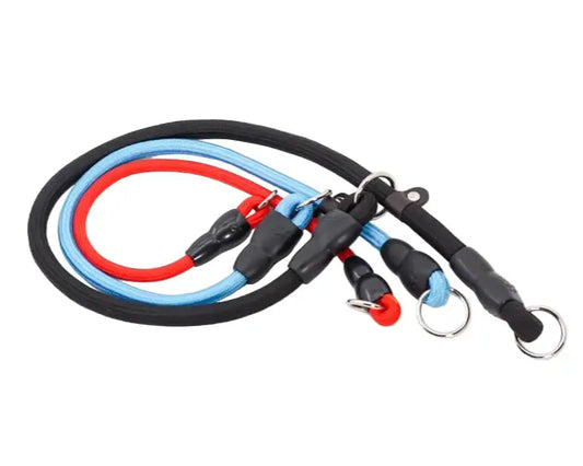 Dog Slip Collar Leash