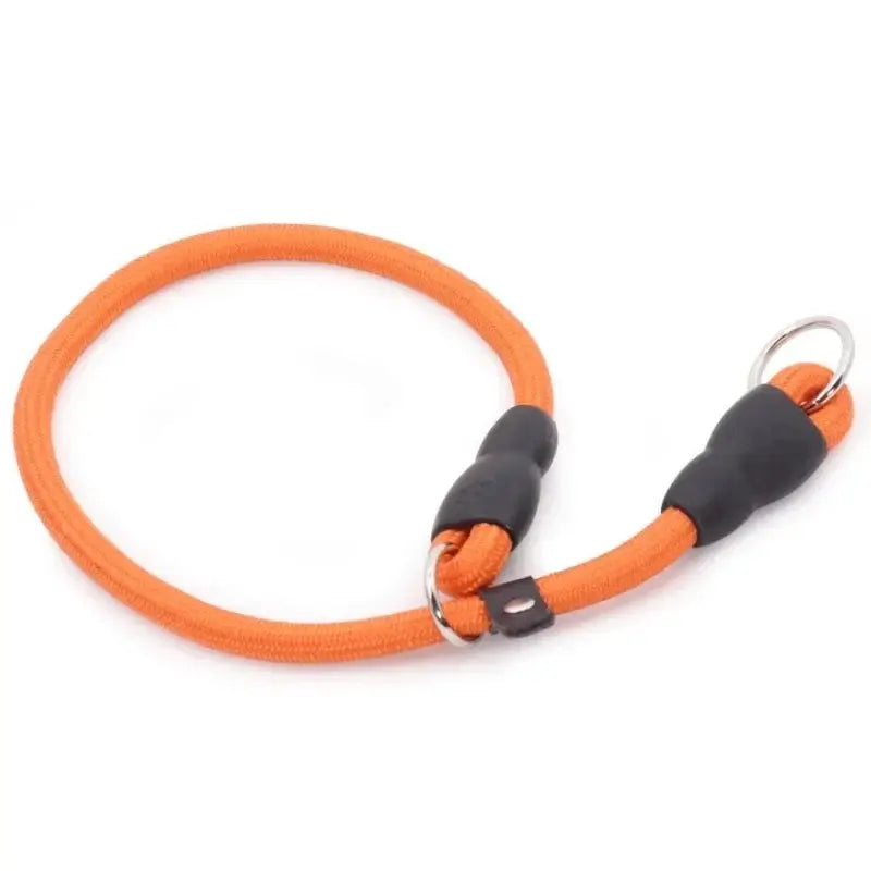 Dog Slip Collar Leash