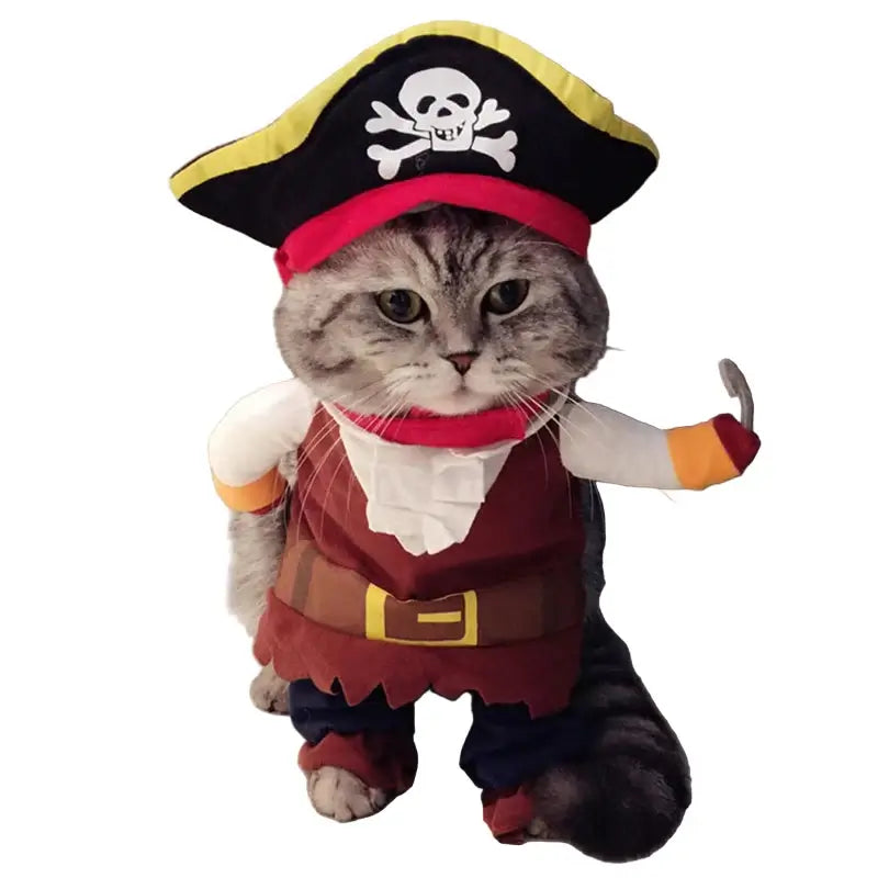 pirate costume for small dogs and cats