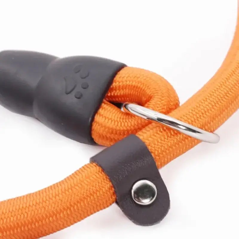 Dog Slip Collar Leash