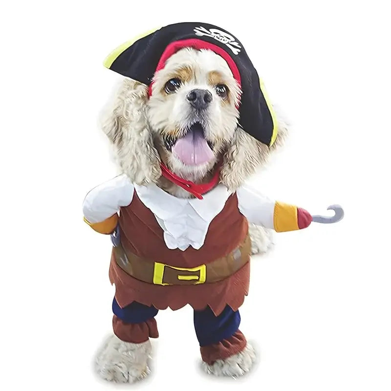 pirate costume for small dogs and cats