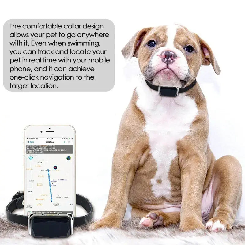 Pet GPS Tracker 