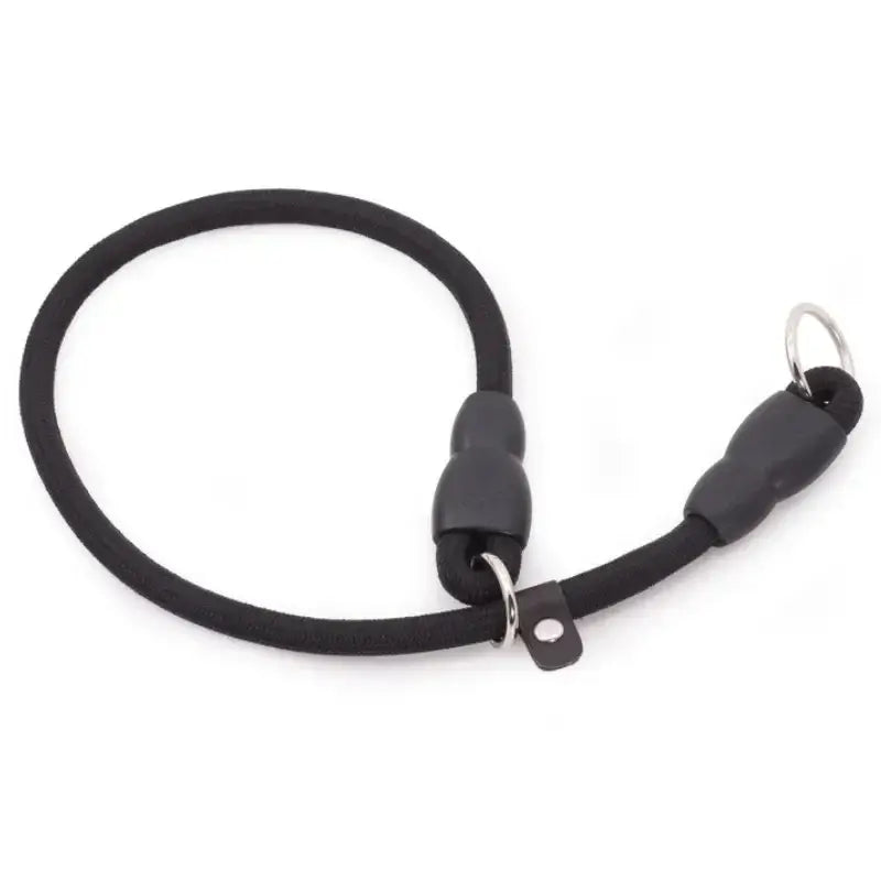 Dog Slip Collar Leash