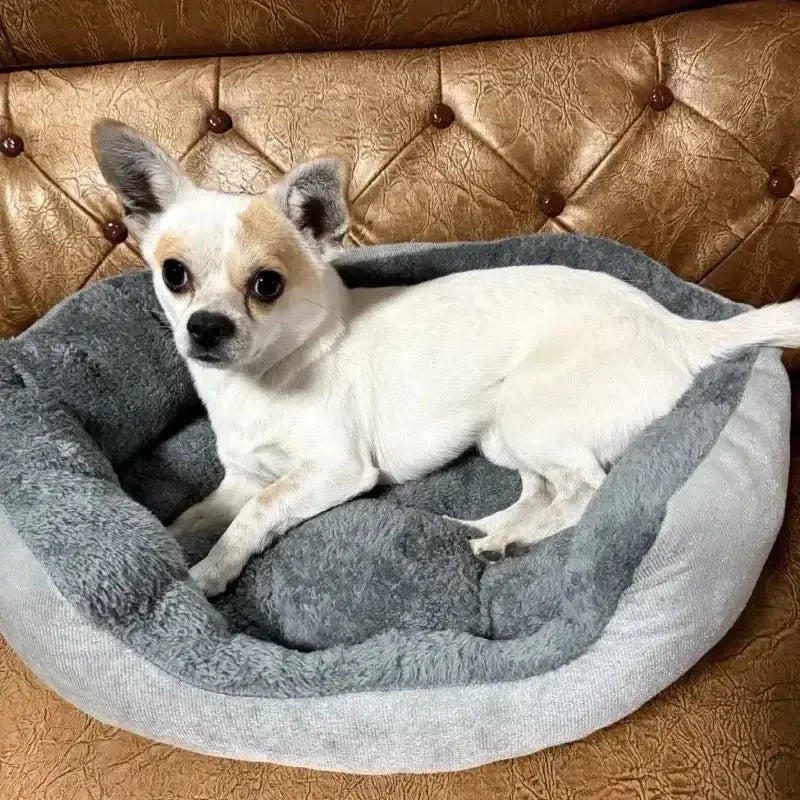 Luxury Soft & Warm Pet Sofa Bed 