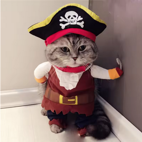 Pirate Costume For Small Medium Dogs Cats