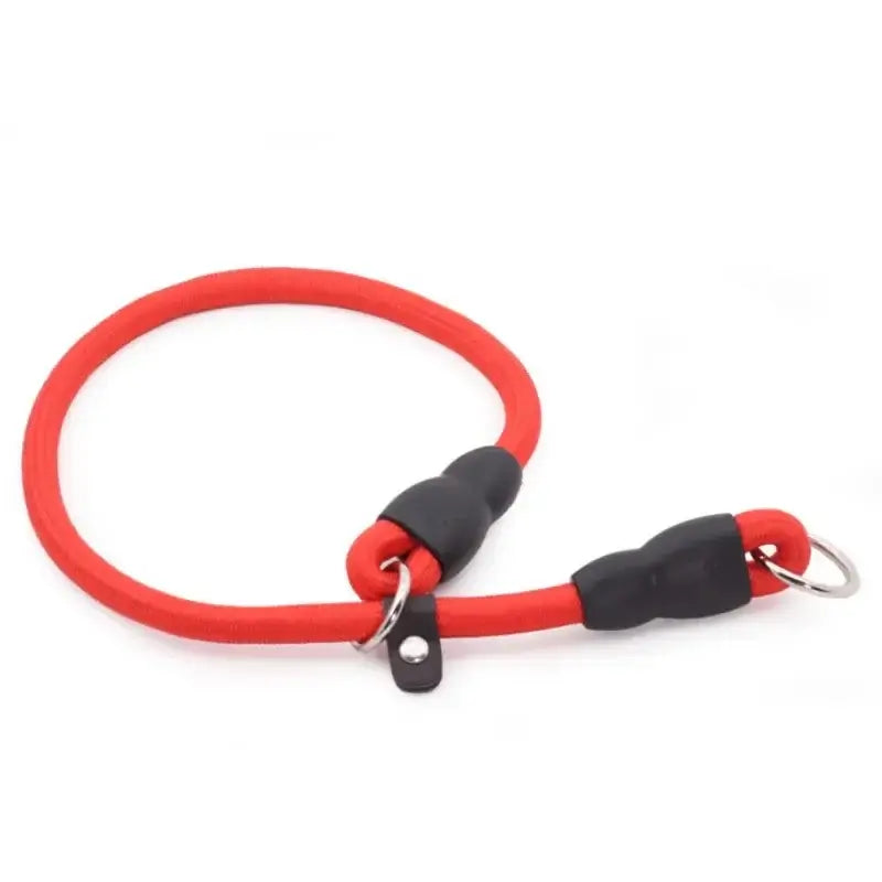 Dog Slip Collar Leash