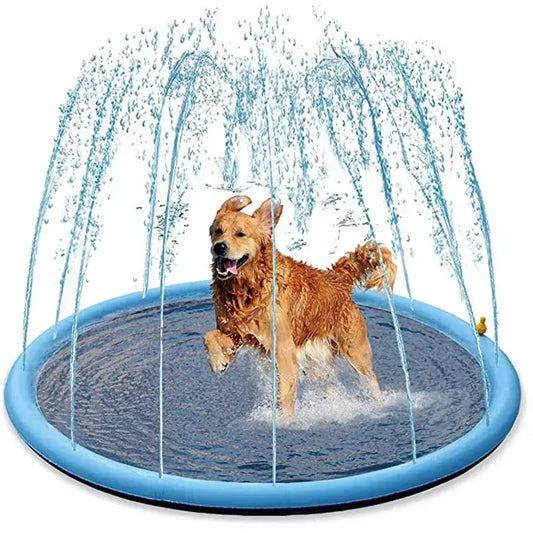 Splash Into Summer Fun