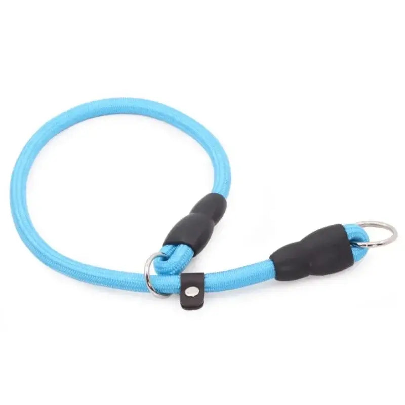 Dog Slip Collar Leash