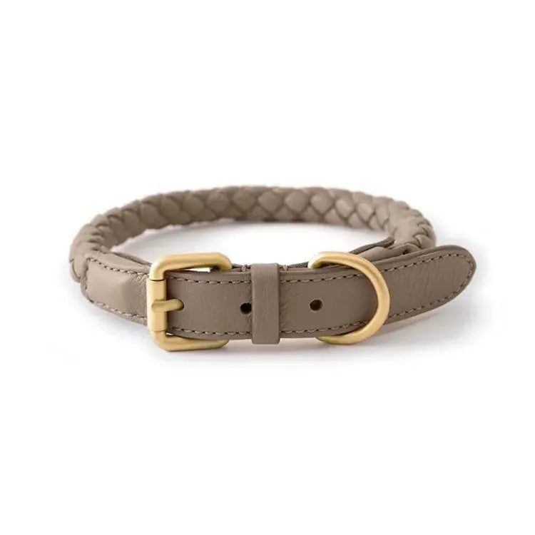 Stylish Woven Leather Dog Collar.