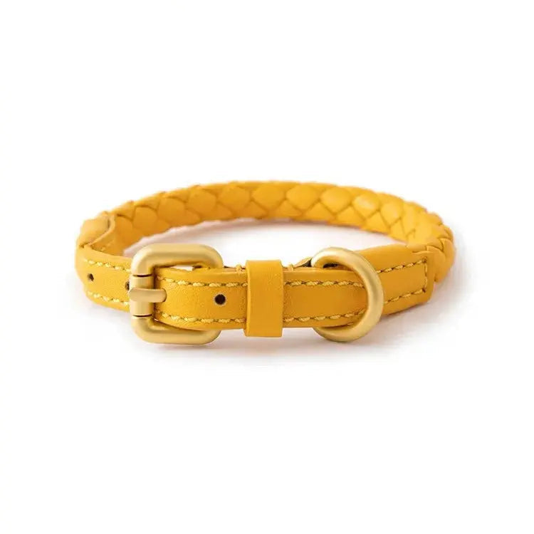 Stylish Woven Leather Dog Collar.