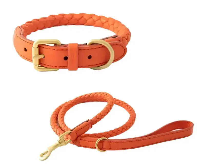 Woven Leather Dog Collar & Lead Set in vibrant orange with braided design and gold hardware for comfort and style.