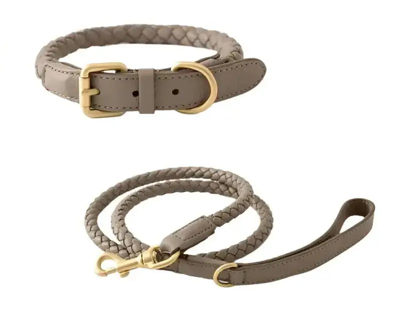 Woven Leather Dog Collar & Lead Set in soft eco-leather with braided design and gold hardware, perfect for stylish pet walks.