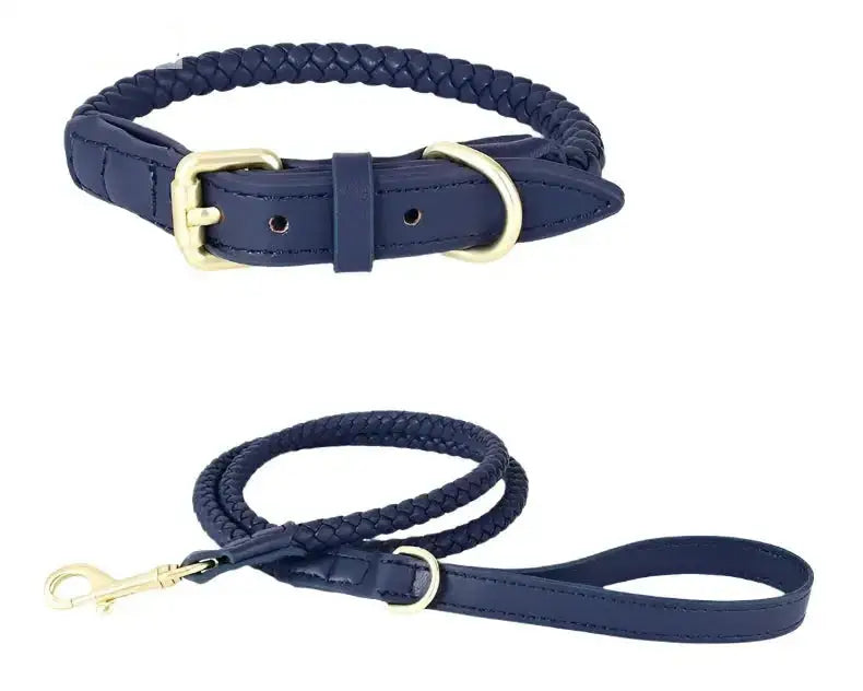 Woven Leather Dog Collar & Lead Set featuring a blue braided design with gold hardware for a stylish pet accessory.