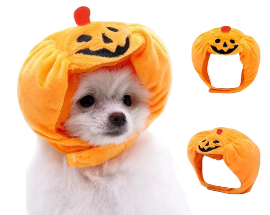 The Perfect Halloween Accessory for Cats and Small Dogs!.
