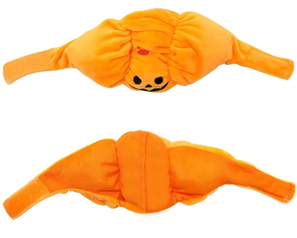 The Perfect Halloween Accessory for Cats and Small Dogs!.