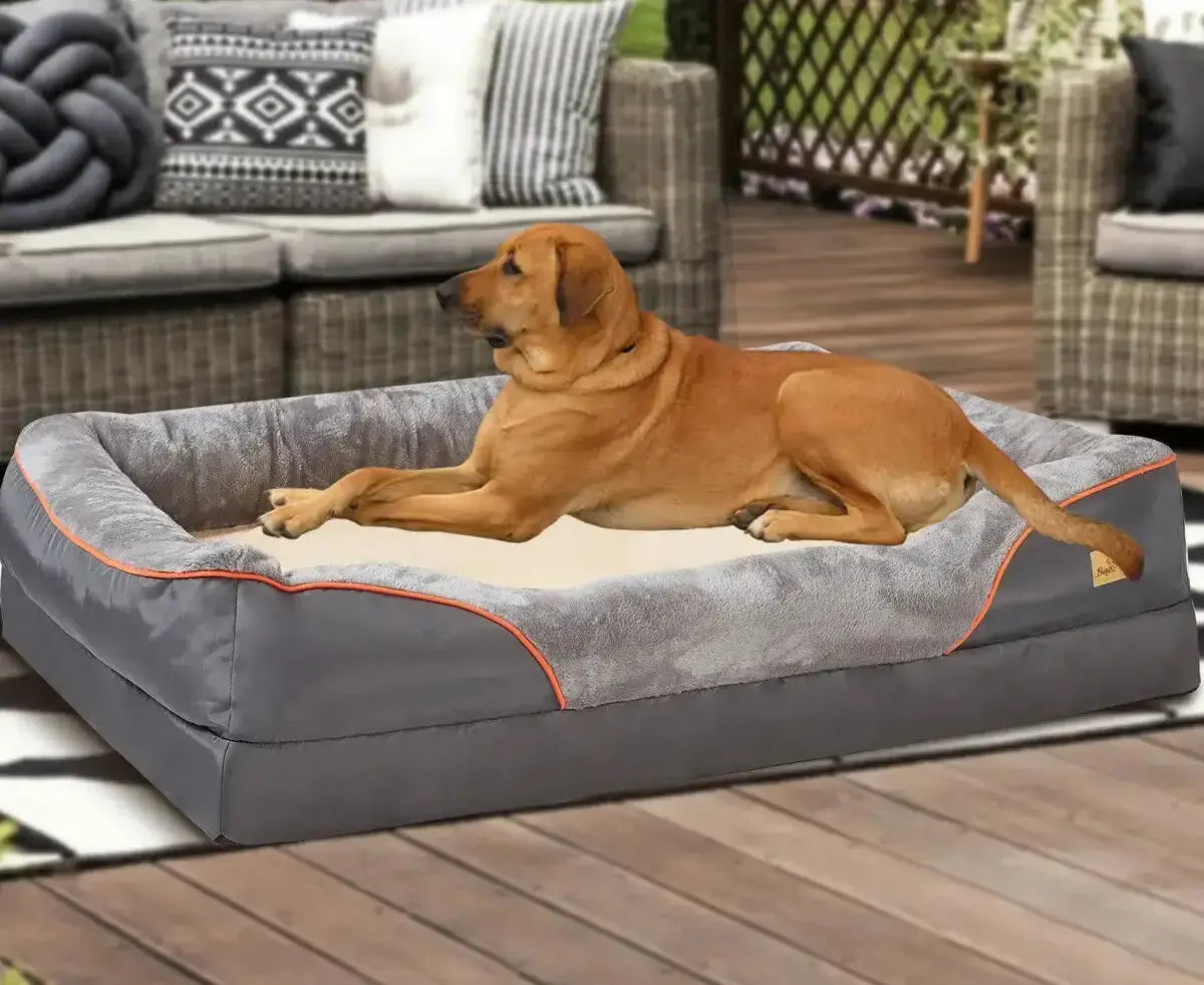 Ultimate Comfort for Your Canine Companion Available in L XL 2XL 3XL Life’s Better Ltd