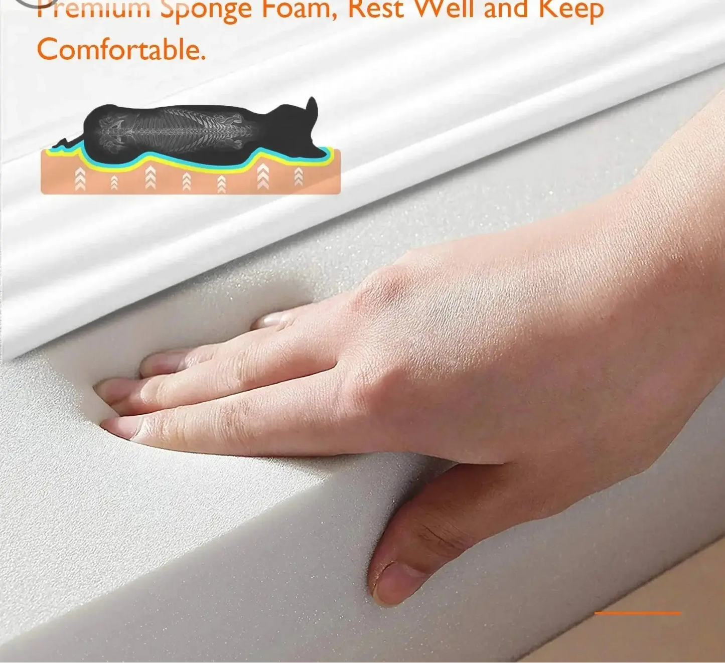 Ultimate Comfort for Your Canine Companion Available in L XL 2XL 3XL Life’s Better Ltd