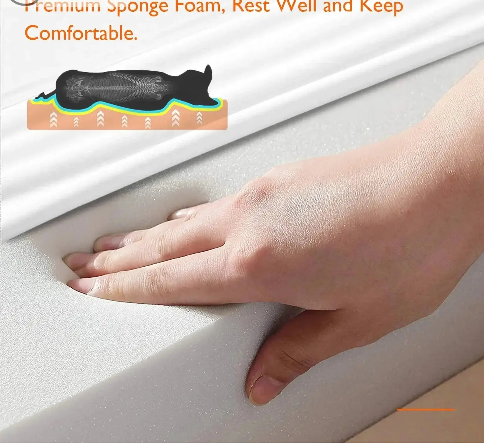 Ultimate Comfort for Your Canine Companion Available in L XL 2XL 3XL Life’s Better Ltd