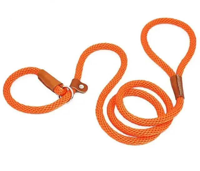 Ultimate Comfort with Our 2-in-1  Slip Lead.