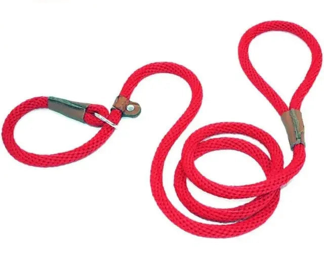 Ultimate Comfort with Our 2-in-1  Slip Lead.