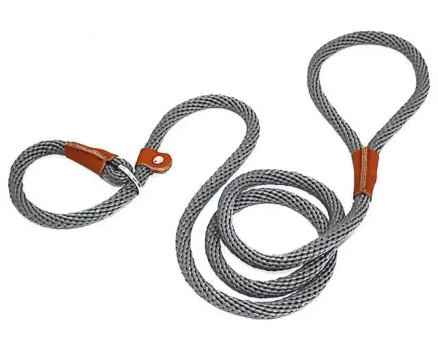 Ultimate Comfort with Our 2-in-1  Slip Lead.