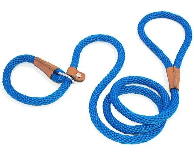 Ultimate Comfort with Our 2-in-1  Slip Lead.