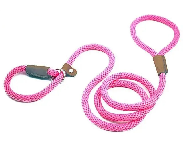 Ultimate Comfort with Our 2-in-1  Slip Lead.