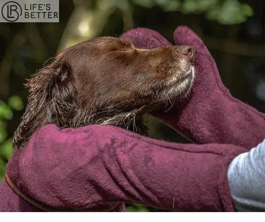 Ultra-Absorbent Pet Drying Gauntlets Life’s Better Ltd