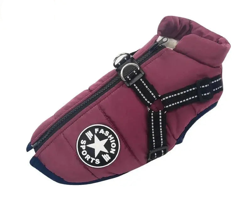 Waterproof Dog Coat & Harness.