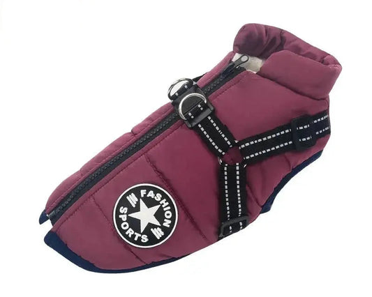 Waterproof Dog Coat & Harness.