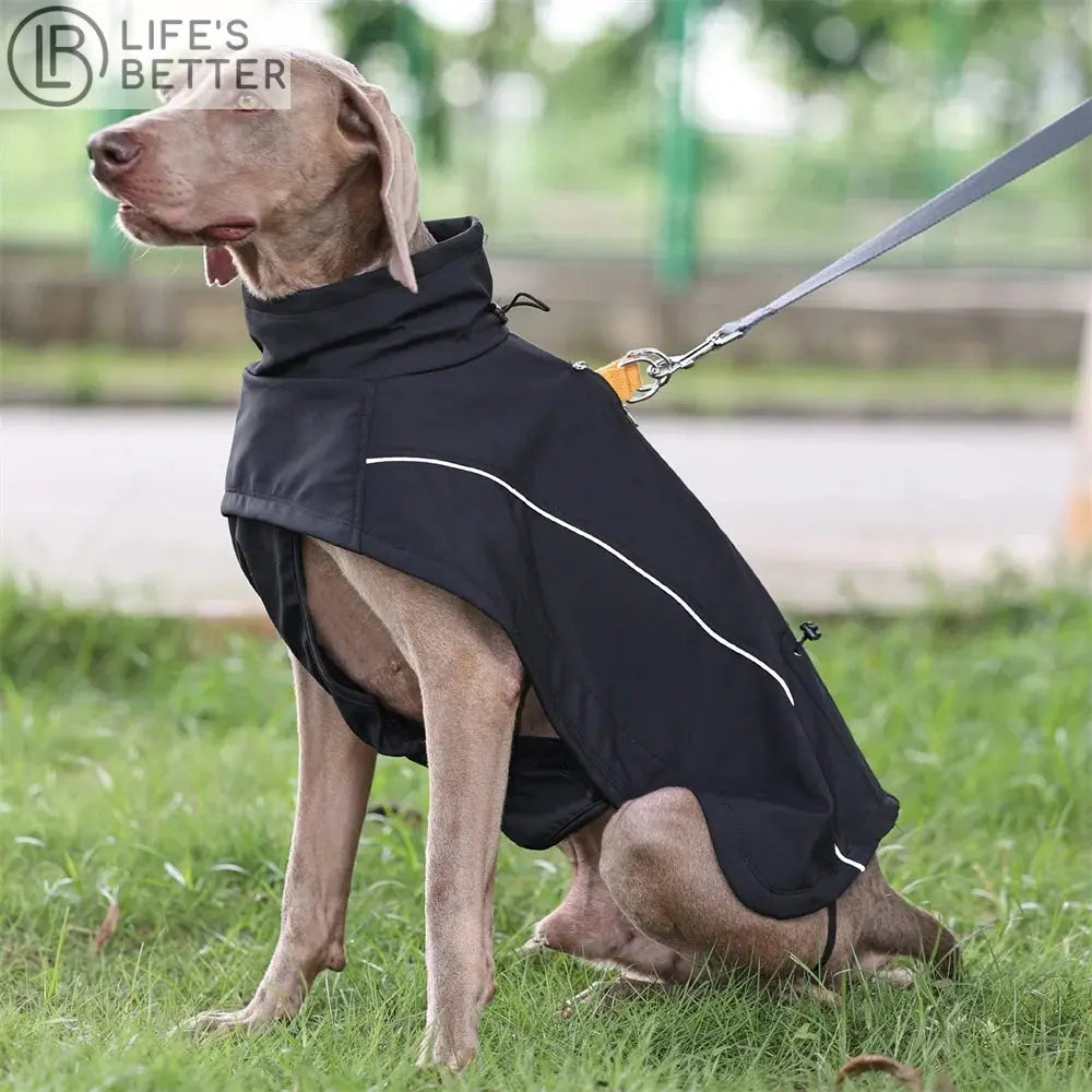 Waterproof Dog Jacket Comfort