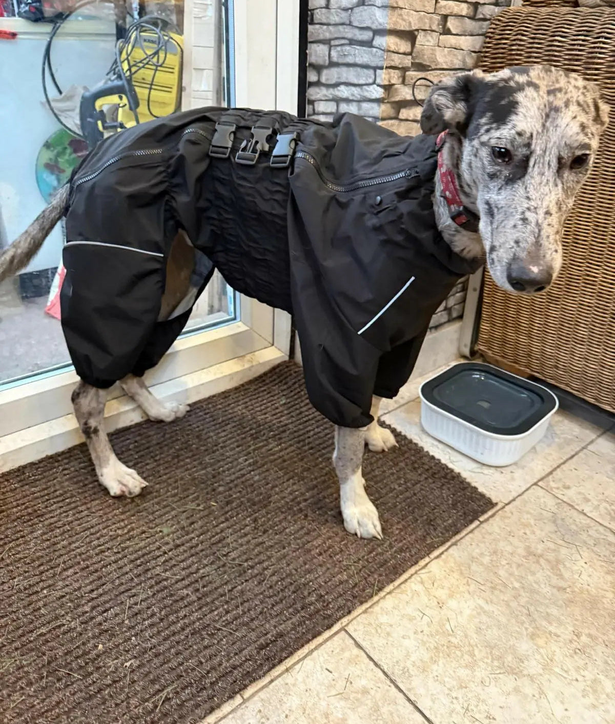 Waterproof Dog Raincoat - 4-Legged Rain Suit Life’s Better Ltd