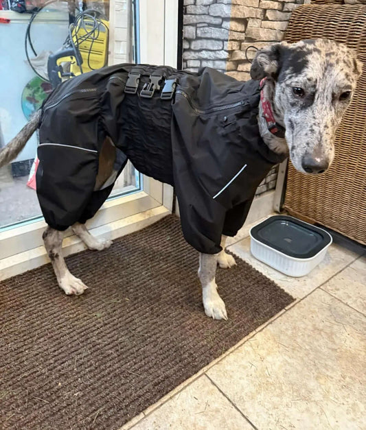 Waterproof Dog Raincoat - 4-Legged Rain Suit Life’s Better Ltd