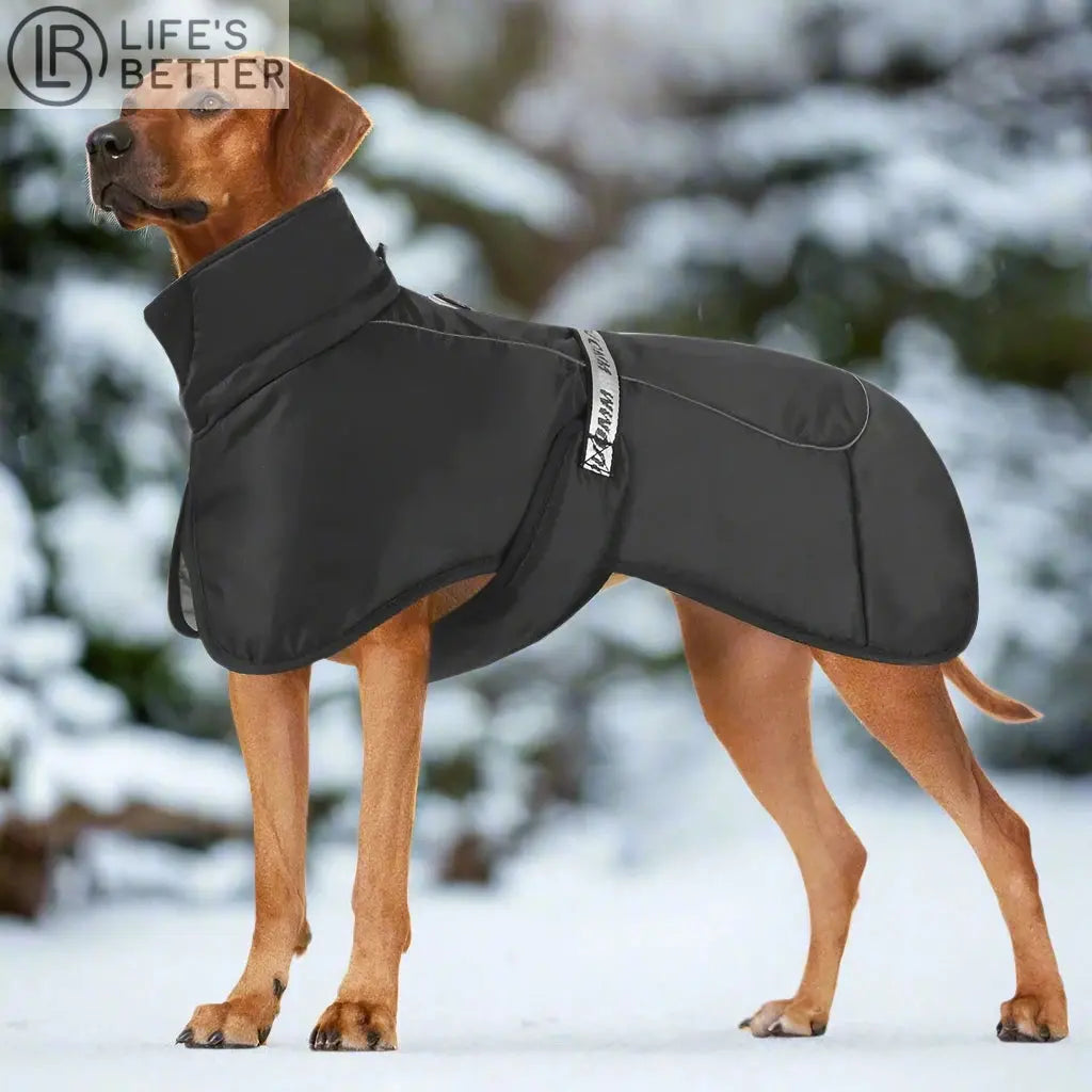 Stylish with Our Windproof Winter Dog Coat.