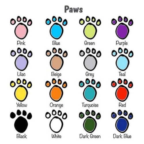 Beautiful Personalised Hand-Painted Ceramic Pet Bowls